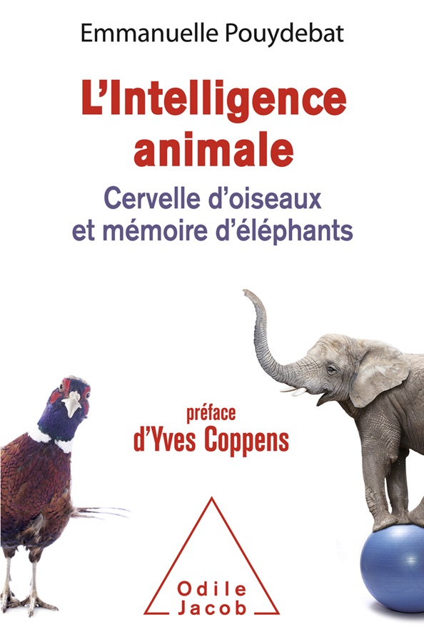 Couverture de L'Intelligence Animale : Cervelle d'Oiseaux et Mémoire d'Eléphants